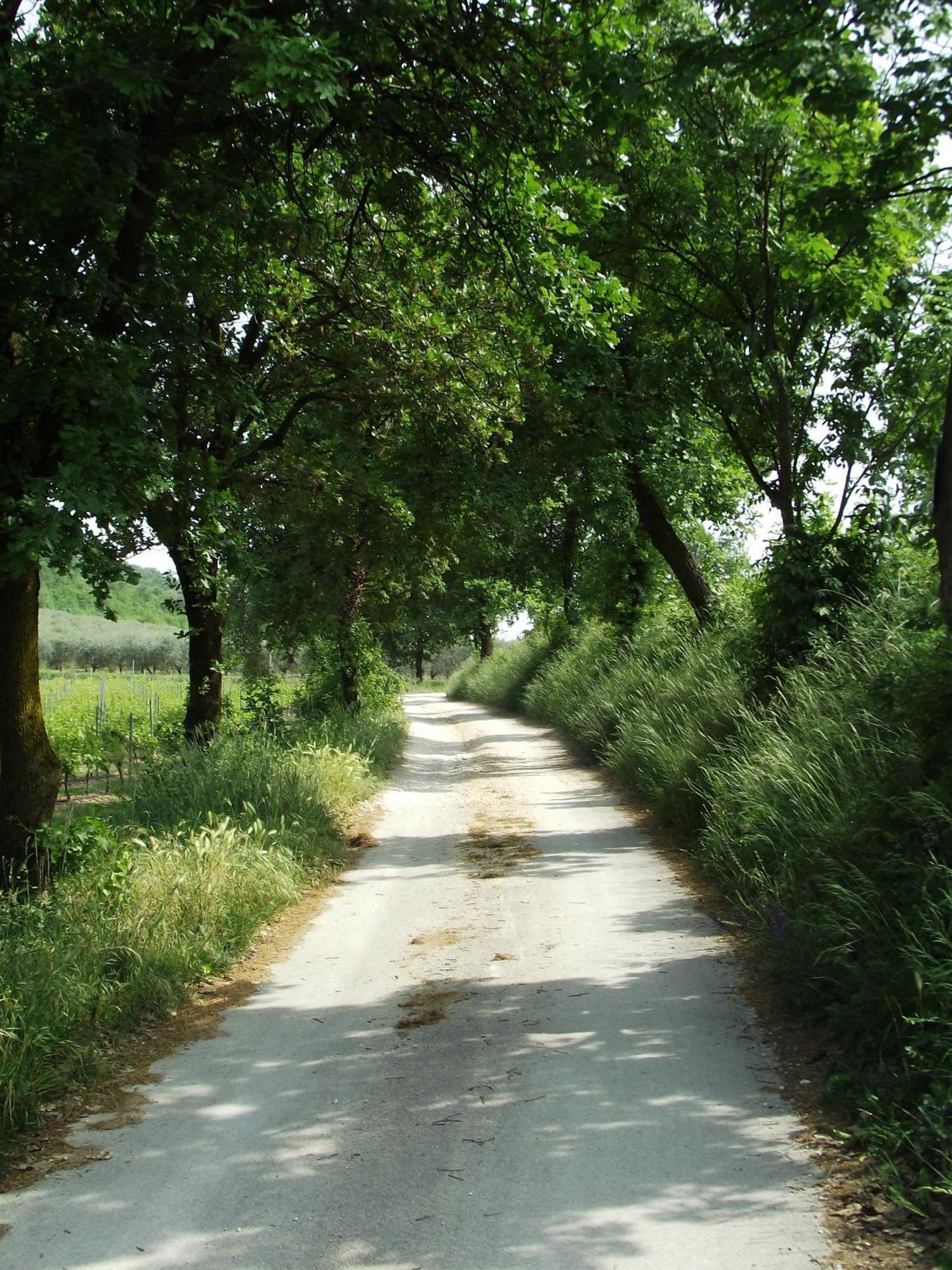 Agriturismo Ca' Castellani บาร์โดลิโน ภายนอก รูปภาพ
