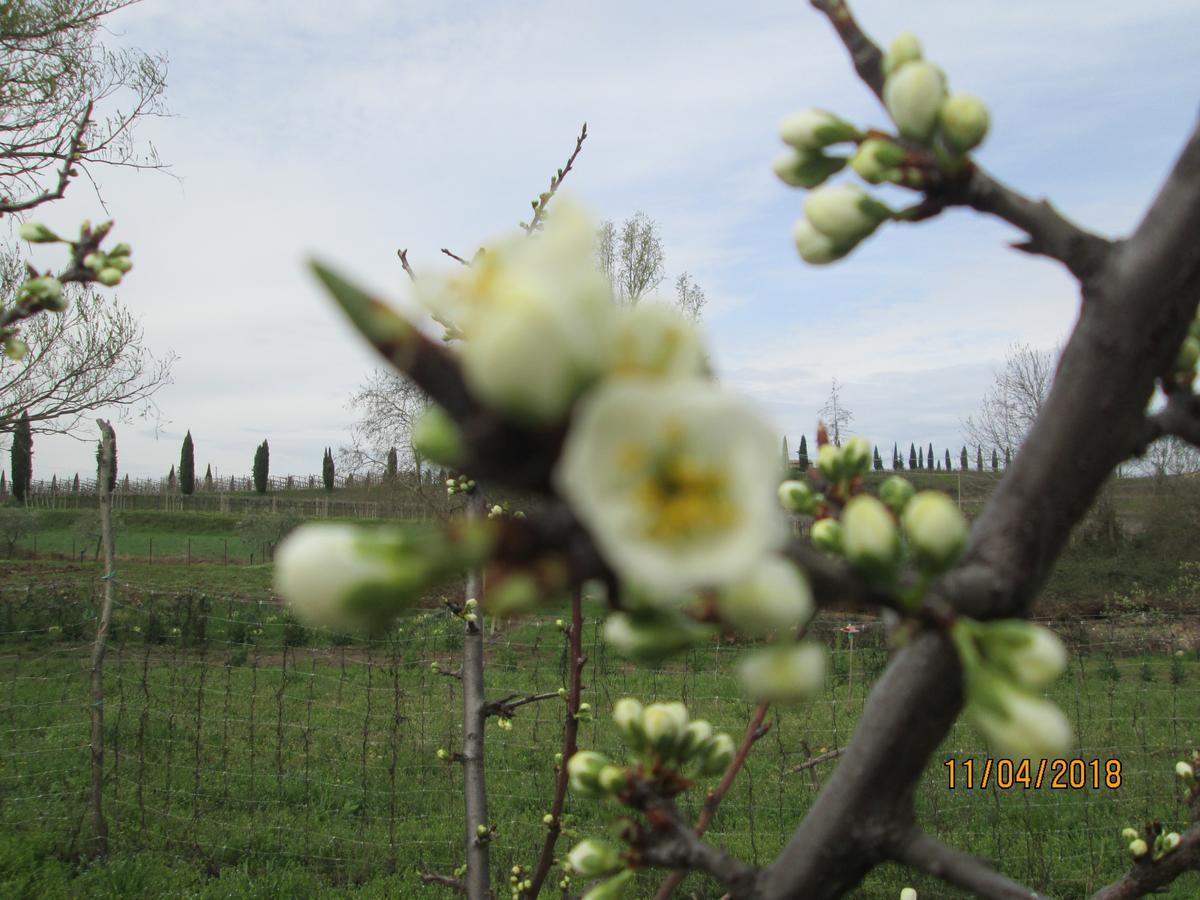 Agriturismo Ca' Castellani บาร์โดลิโน ภายนอก รูปภาพ